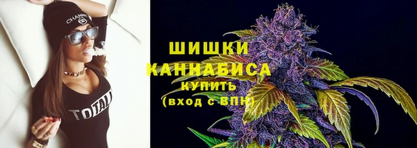 прущие крисы Инта