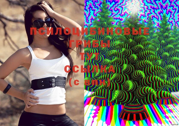 молекула духа Зерноград