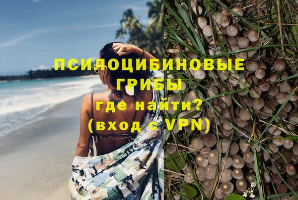 дурь Зеленодольск