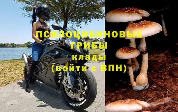 молекула духа Зерноград