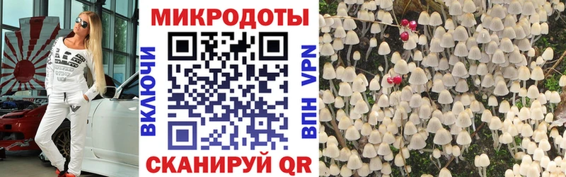 Псилоцибиновые грибы Cubensis  Жуковский 